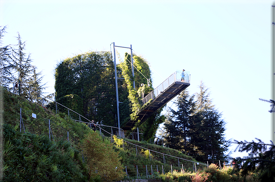 foto Giardini Trauttmansdorff - Boschi del Mondo